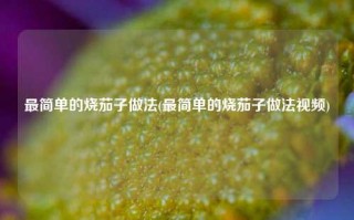 最简单的烧茄子做法(最简单的烧茄子做法视频)