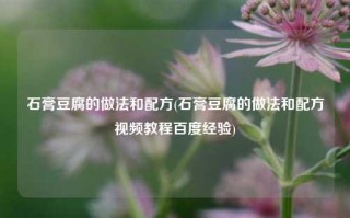 石膏豆腐的做法和配方(石膏豆腐的做法和配方视频教程百度经验)