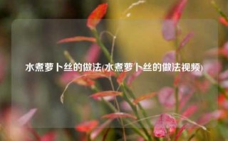 水煮萝卜丝的做法(水煮萝卜丝的做法视频)