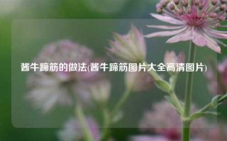 酱牛蹄筋的做法(酱牛蹄筋图片大全高清图片)