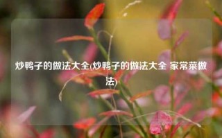 炒鸭子的做法大全(炒鸭子的做法大全 家常菜做法)