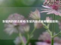 东坡肉的做法视频(东坡肉做法视频糖醋排骨)