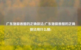 广东猪脚姜醋的正确做法(广东猪脚姜醋的正确做法用什么醋)