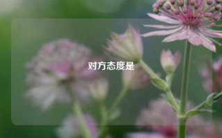 对方态度是