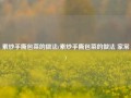 素炒手撕包菜的做法(素炒手撕包菜的做法 家常)
