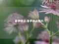 春笋做法(春笋做法图片)