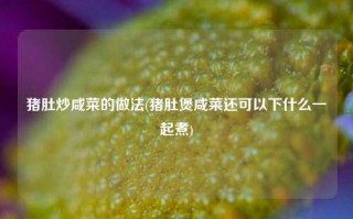 猪肚炒咸菜的做法(猪肚煲咸菜还可以下什么一起煮)