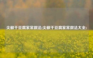 尖椒干豆腐家常做法(尖椒干豆腐家常做法大全)