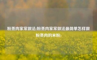 粉蒸肉家常做法(粉蒸肉家常做法最简单怎样做粉蒸肉的米粉)