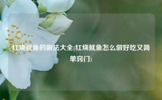 红烧鱿鱼的做法大全(红烧鱿鱼怎么做好吃又简单窍门)