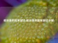 纸包鱼的家常做法(纸包鱼的家常做法步骤)