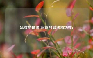 冰菜的做法(冰菜的做法和功效)