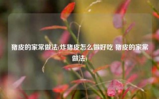猪皮的家常做法(炸猪皮怎么做好吃 猪皮的家常做法)