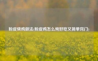 粉皮烧鸡做法(粉皮鸡怎么炖好吃又简单窍门)