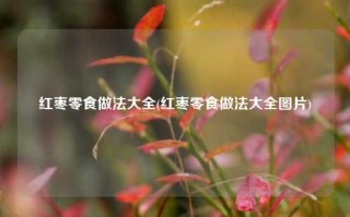 红枣零食做法大全(红枣零食做法大全图片)
