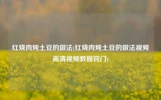 红烧肉炖土豆的做法(红烧肉炖土豆的做法视频高清视频教程窍门)