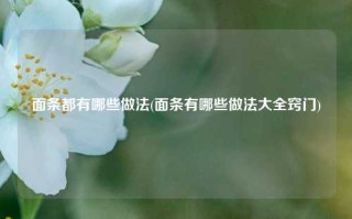 面条都有哪些做法(面条有哪些做法大全窍门)
