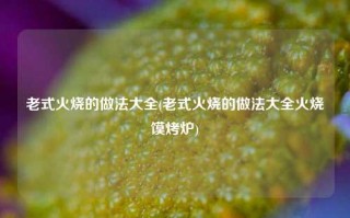 老式火烧的做法大全(老式火烧的做法大全火烧馍烤炉)