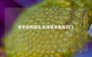 烧羊杂的做法(怎样烧羊杂汤窍门)
