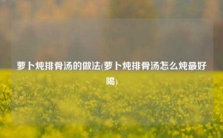 萝卜炖排骨汤的做法(萝卜炖排骨汤怎么炖最好喝)