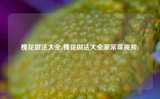 槐花做法大全(槐花做法大全家常菜视频)