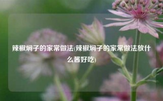 辣椒焖子的家常做法(辣椒焖子的家常做法放什么酱好吃)