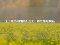 芝士西兰花的做法(芝士焗西兰花的做法)