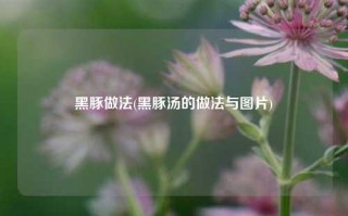黑豚做法(黑豚汤的做法与图片)