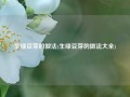 生绿豆芽的做法(生绿豆芽的做法大全)