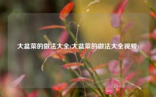 大盆菜的做法大全(大盆菜的做法大全视频)