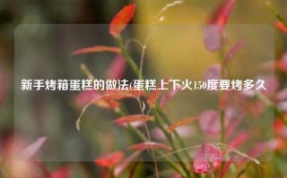 新手烤箱蛋糕的做法(蛋糕上下火150度要烤多久)