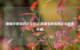 新疆手抓饭的正宗做法(新疆手抓饭的正宗做法步骤)