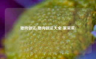 猪肉做法(猪肉做法大全 家常菜)