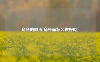 乌冬的做法(乌冬面怎么做好吃)