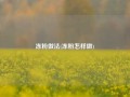 冻粉做法(冻粉怎样做)