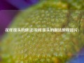 花样馒头的做法(花样馒头的做法教程图片)