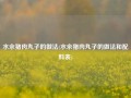 水汆猪肉丸子的做法(水汆猪肉丸子的做法和配料表)