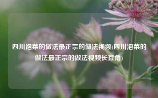 四川泡菜的做法最正宗的做法视频(四川泡菜的做法最正宗的做法视频长豆角)