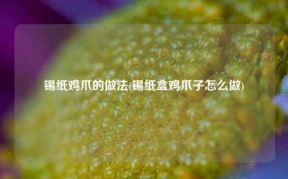 锡纸鸡爪的做法(锡纸盒鸡爪子怎么做)