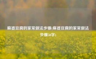 麻婆豆腐的家常做法步骤(麻婆豆腐的家常做法步骤50字)