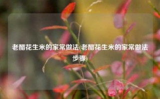 老醋花生米的家常做法(老醋花生米的家常做法步骤)