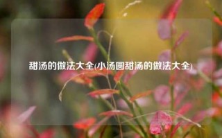 甜汤的做法大全(小汤圆甜汤的做法大全)