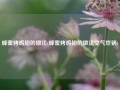 蜂蜜烤鸡翅的做法(蜂蜜烤鸡翅的做法空气炸锅)
