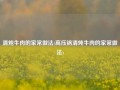 清炖牛肉的家常做法(高压锅清炖牛肉的家常做法)