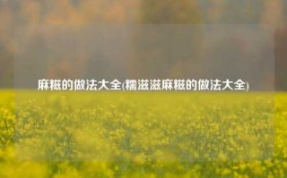 麻糍的做法大全(糯滋滋麻糍的做法大全)