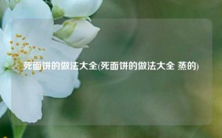 死面饼的做法大全(死面饼的做法大全 蒸的)