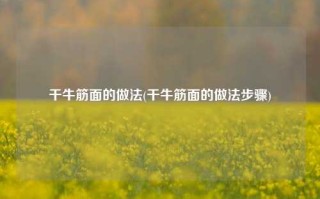 干牛筋面的做法(干牛筋面的做法步骤)