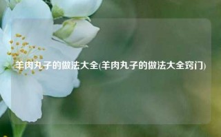 羊肉丸子的做法大全(羊肉丸子的做法大全窍门)