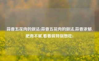 蒜香五花肉的做法(蒜香五花肉的做法,蒜香浓郁,肥而不腻,看着就特别想吃)