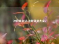 冰鲜鱼做法(冰鲜鱼类大全)